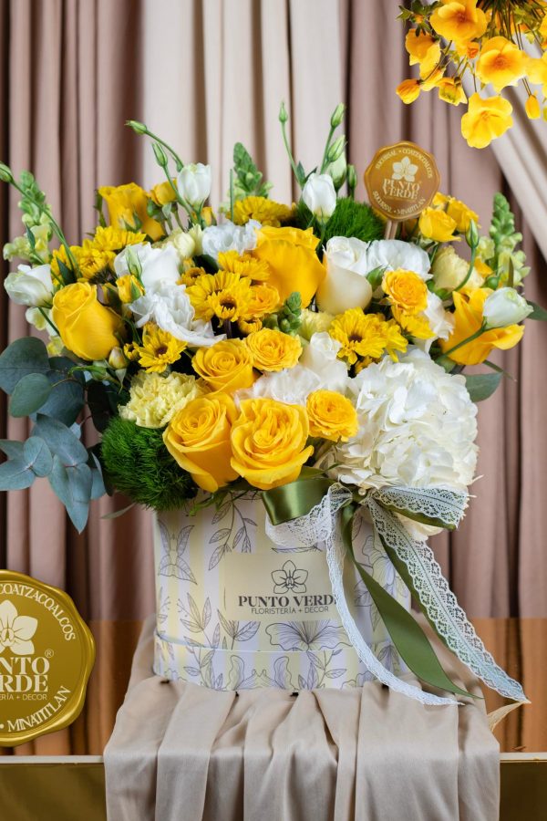 650118217_1355135739964838_695399010064472694_n